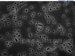 HTBP04700MILLIPORE聚碳酸酯0.4微米孔径过滤膜-黑色