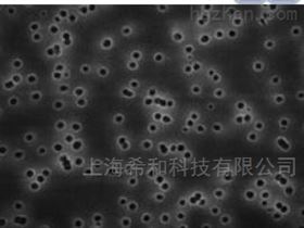 VCTP04700MILLIPORE聚碳酸酯0.1微米孔径过滤膜